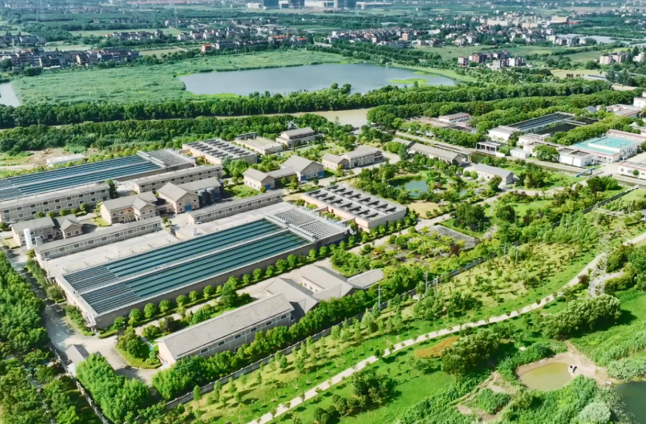 1706237673142755.png 01.png