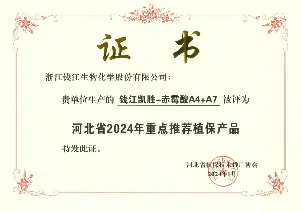 凯胜.jpg